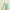 LA ROSEE ORGANIC MINT TOOTHPASTE FLUORIHAMMASTAHNA 75 ML